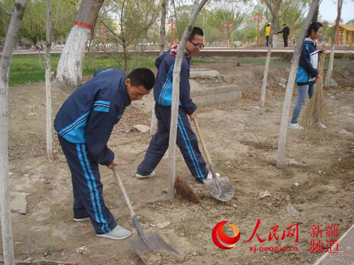 援疆教师与兵团学生开展实践活动 清理林床收