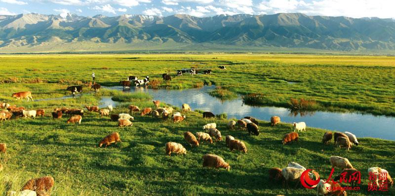 新疆哈密巴里坤大草原