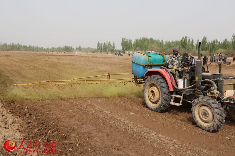 新疆住村工作组助力村民实施高效节水滴灌项目