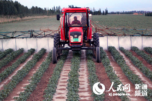 五师89团棉花种植机械化 节本省力增效益(图)