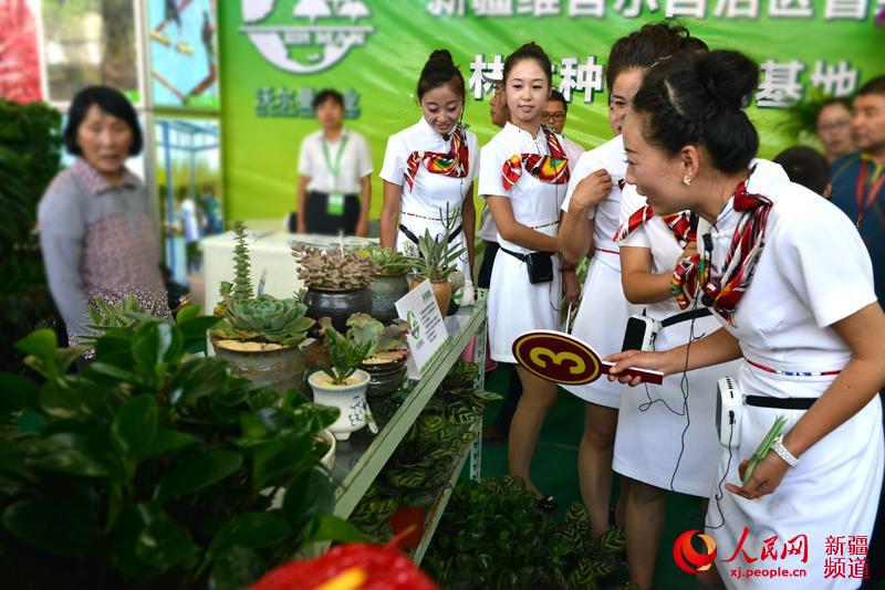第四届新疆苗木花卉博览会在呼图壁县盛大开幕