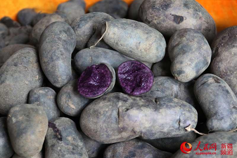 新疆帕米尔高原地产黑土豆里商机无限(图)
