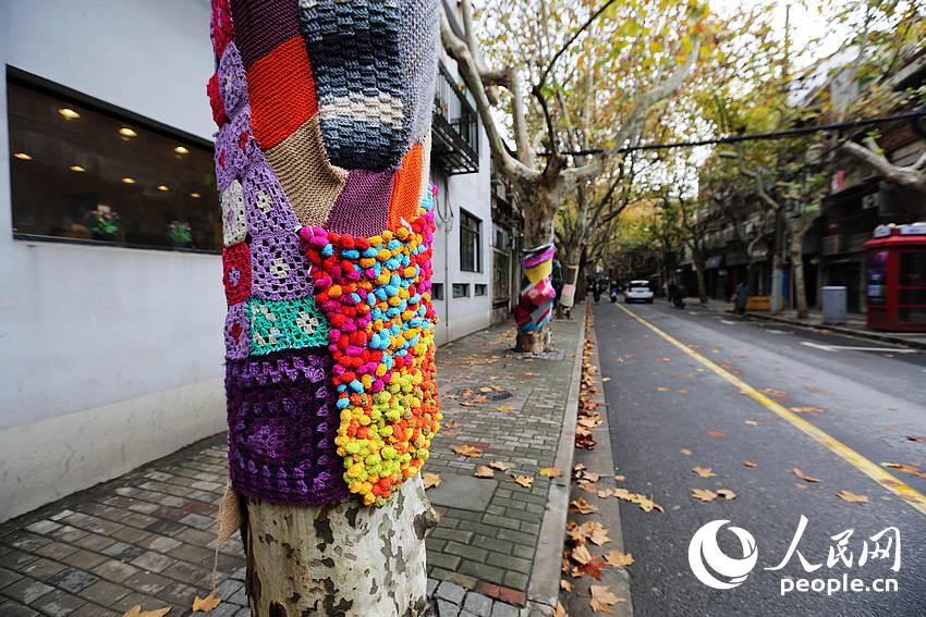 上海街头梧桐树穿上彩色毛衣 又萌又暖获网友