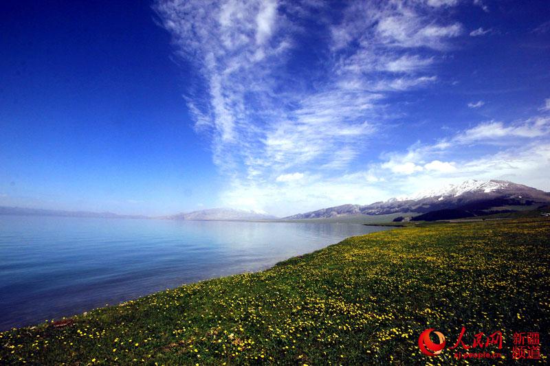 新疆赛里木湖:雪山花海 风光如画(图)