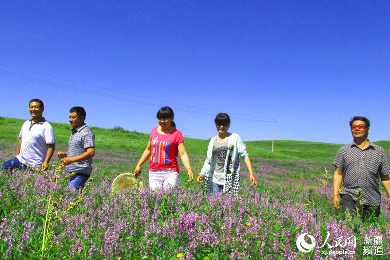 新疆裕民县山花烂漫 迎来旅游旺季