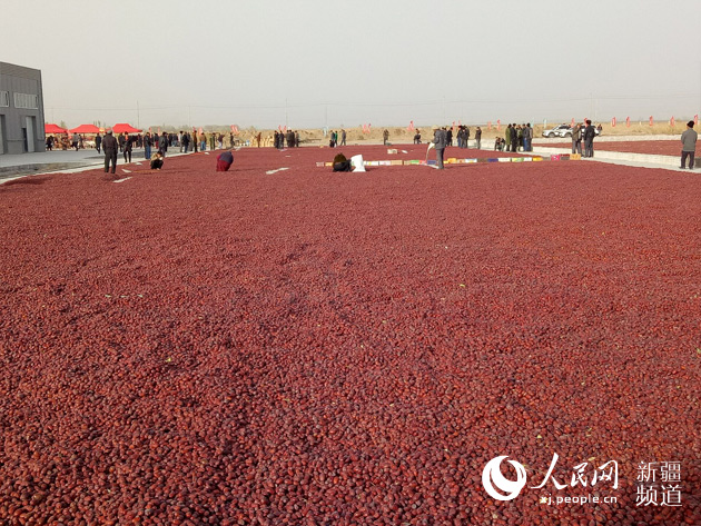 南疆最大的红枣交易中心在麦盖提县投入使用