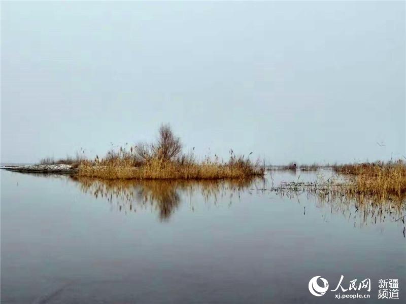 中国最大内陆淡水湖新疆博斯腾湖春暖冰化(图