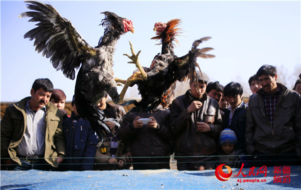 新疆冬春旅游热火朝天 节气活动丰富旅游市场