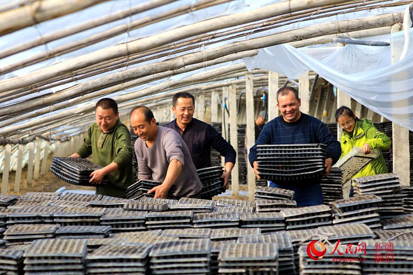 “訪惠聚”駐村干部助農春耕生產促增收