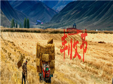 中国农民丰收节・新疆篇