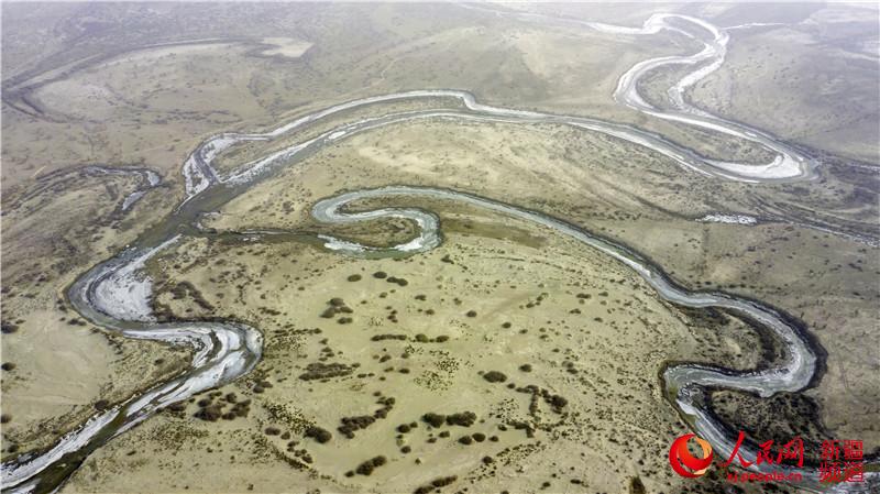 新疆：孔雀河生態輸水為荒漠植被“解渴”（組圖）【4】