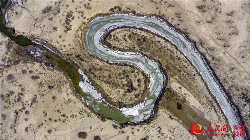 新疆：孔雀河生態輸水為荒漠植被“解渴”（組圖）