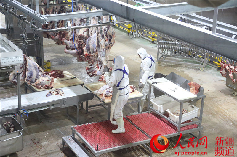 新疆博州捐贈價值500萬元有機牛肉支援湖北戰疫。趙震東 攝
