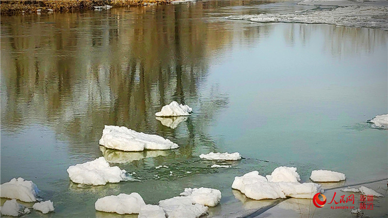 額爾齊斯河“解凍”（組圖）【3】