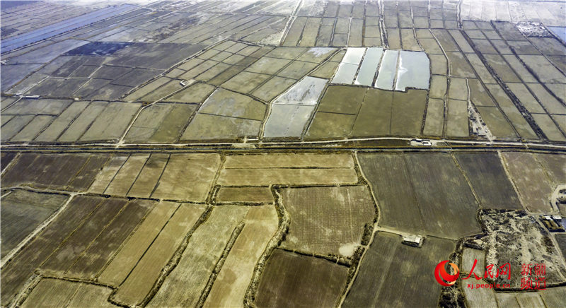 3月11日，航拍尉犁縣阿克蘇普鄉，春水灌溉使廣袤的棉田煥發生機。