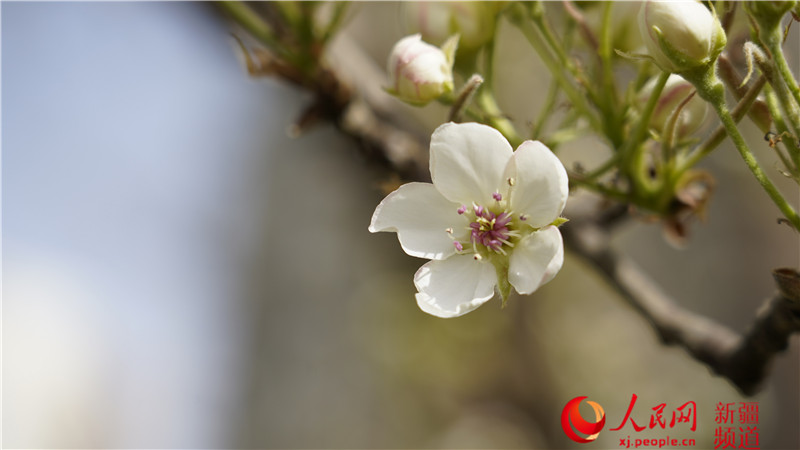 �½�������У�����İ�Ͽ� �滨����ʣ�ͼ����6��