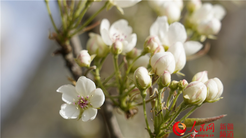 �½�������У�����İ�Ͽ� �滨����ʣ�ͼ����2��