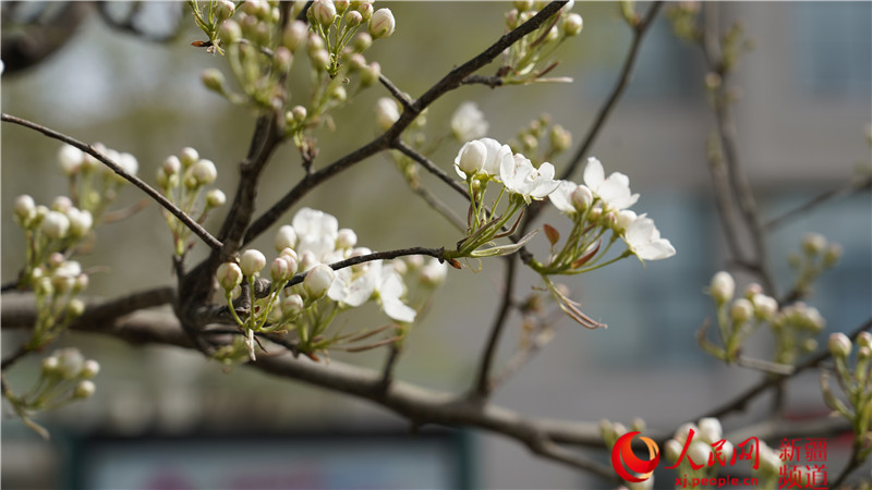 �½�������У�����İ�Ͽ� �滨����ʣ�ͼ����3��