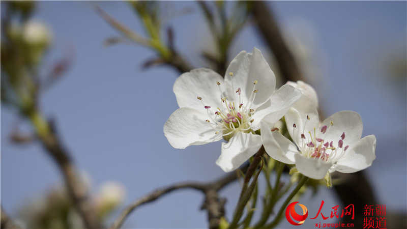 �½�������У�����İ�Ͽ� �滨����ʣ�ͼ����4��
