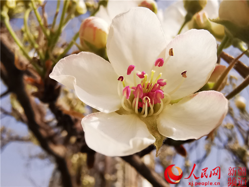 �½�������У�����İ�Ͽ� �滨����ʣ�ͼ��