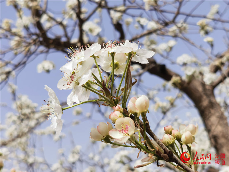 �½��������У���Ķ�滨�������ţ����������㿴�½�����2��