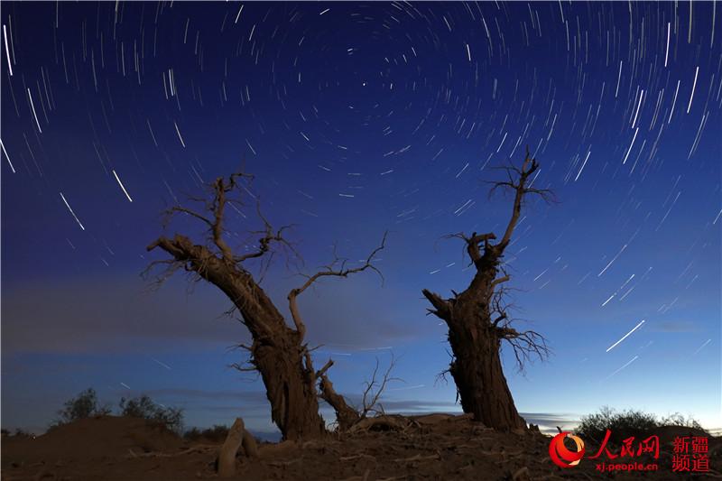 新疆塔里木盆地：星空下的千年胡杨（人民网带你看新疆）