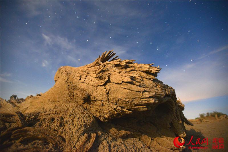 新疆塔里木盆地：星空下的千年胡杨（人民网带你看新疆）【10】