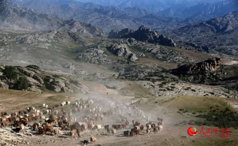 新疆牧民忙轉場 演繹流動的草原風景（人民網帶你看新疆）【2】