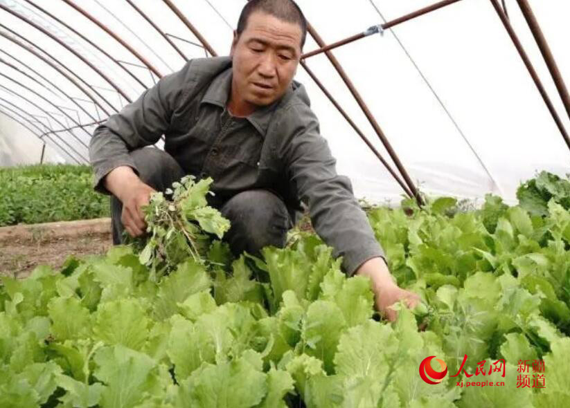 阿勒泰市有多少人口_阿勒泰市第三中学图片(2)