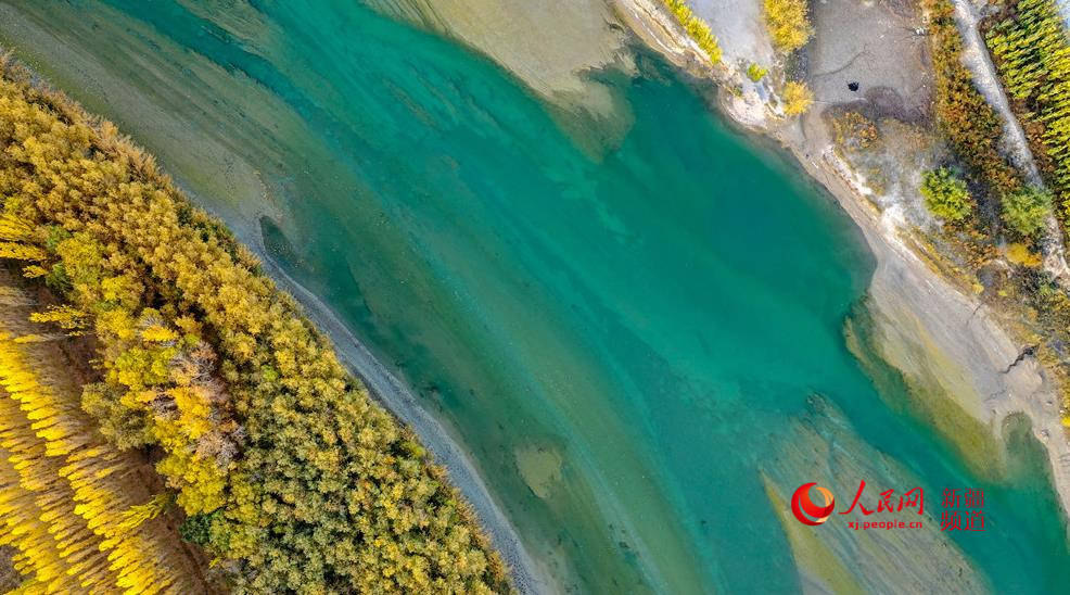 10月21日，航拍新疆博湖縣開都河畔秋景。年磊 攝