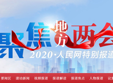 2020新疆两会