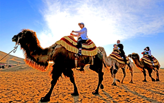 游客騎著駱駝在鄯善縣庫木塔格沙漠景區游玩