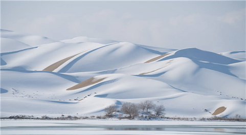 【新疆是个好地方】新疆塔克拉玛干沙漠雪景宛若童话世界