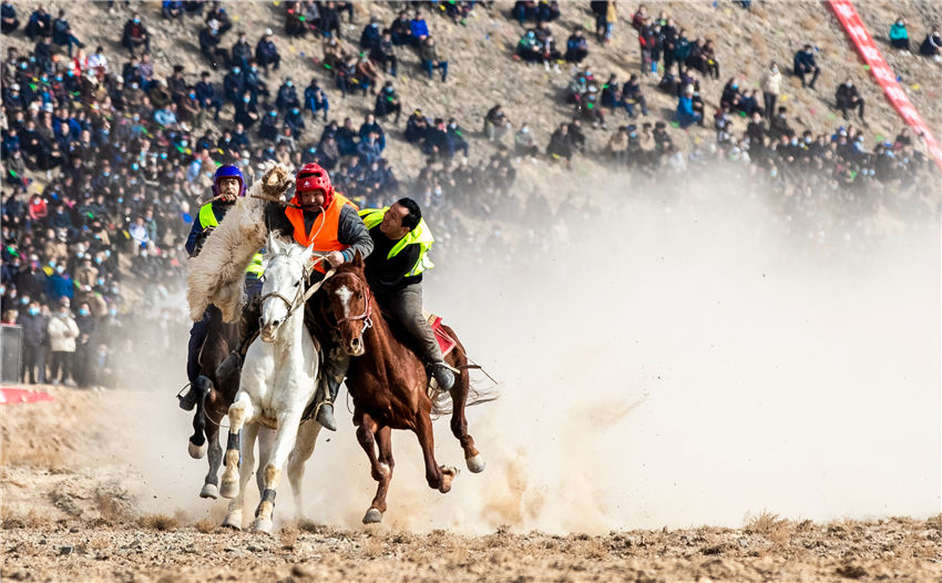 新疆阿图什：传统赛马刁羊比赛激情上演（徐贤昊摄）