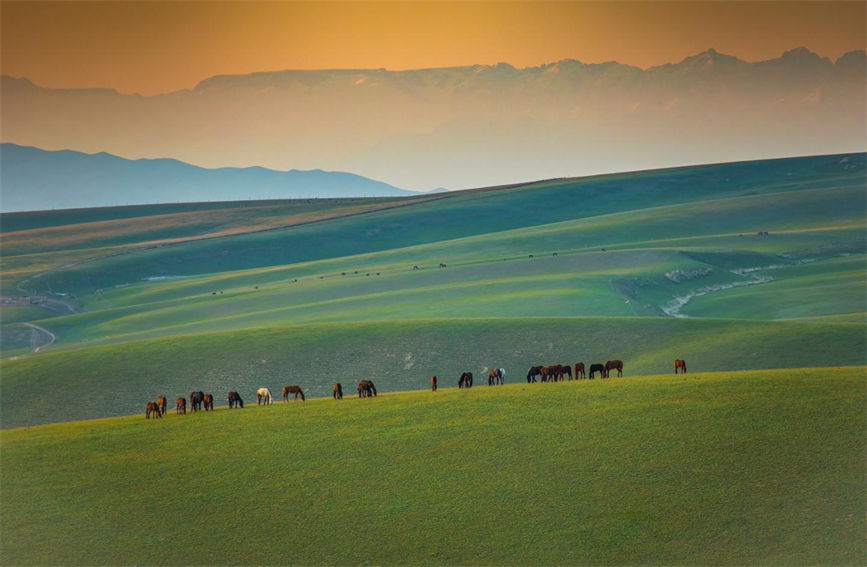 新疆加烏爾山草原旖旎如詩如畫