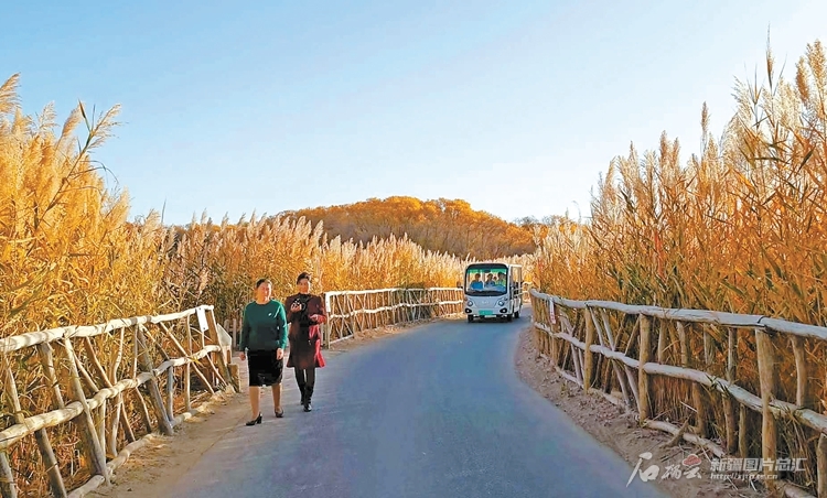 新疆最南端的旅游业发展观察：“王牌”如何变“金牌”