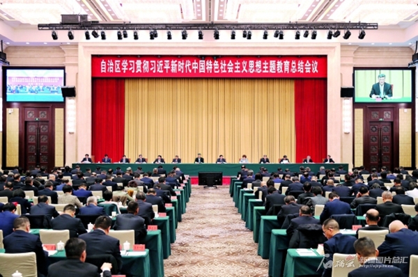 新疆学习贯彻习近平新时代中国特色社会主义思想主题教育总结会议召开