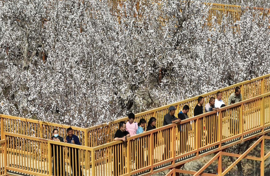 一季度新疆接待游客超4100萬人次