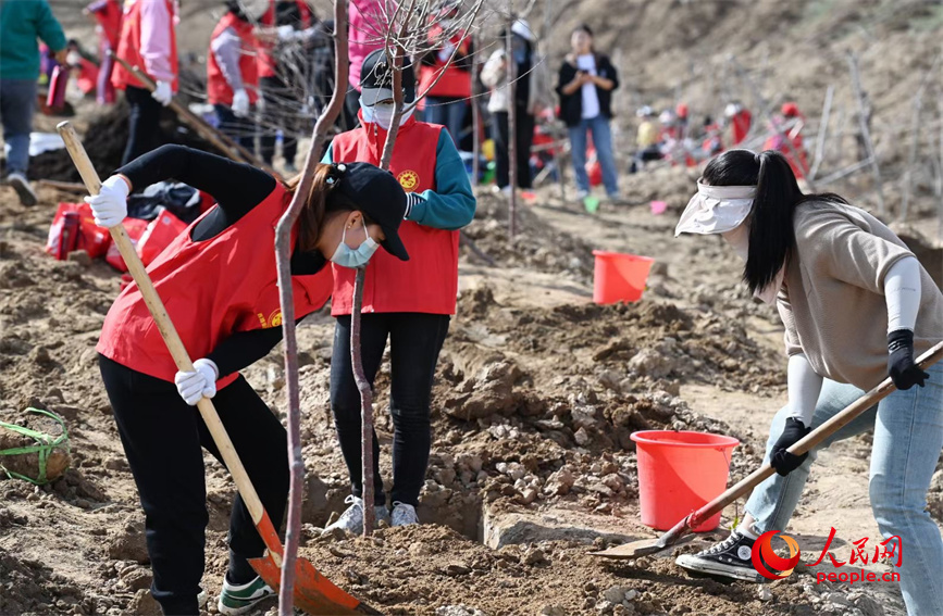 大家分工協作，為春日的大地再播新綠。人民網 李龍攝