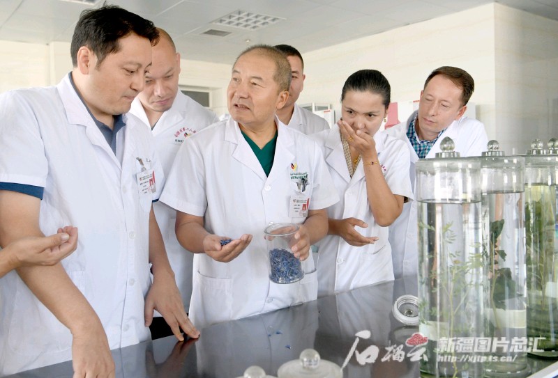  Xinjiang's inheritance, innovation and development of traditional Chinese medicine stride forward