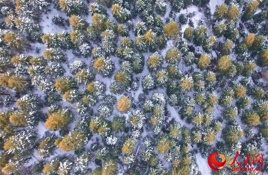 天山天池风景区。人民网 李欣洋摄