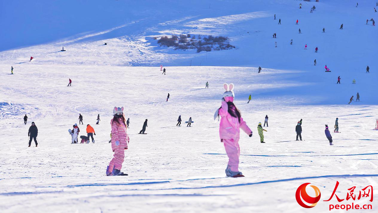 来新疆，在雪地里撒欢儿【2】