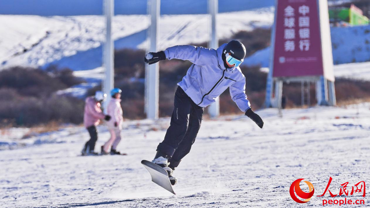 来新疆，在雪地里撒欢儿【4】