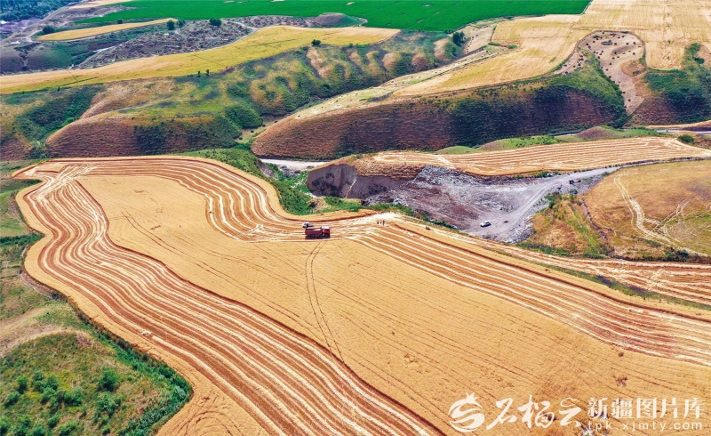 “塞上糧倉”單產領跑全國