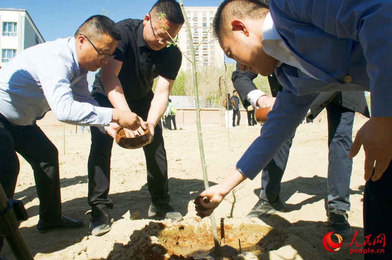 湘阴县代表和哈密代表共同将两份土壤培入“同心柳”。人民网 娜地拉摄