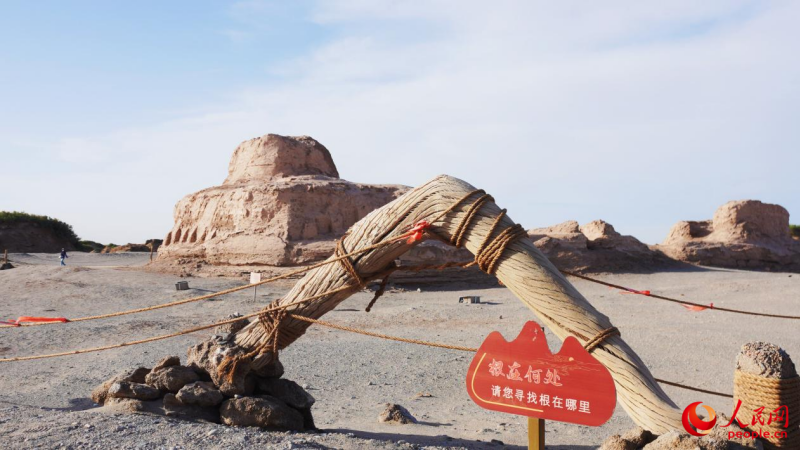 米兰古城东大寺遗址内,写着“根在何处”的互动标识静静矗立,以古老的胡杨木与绳索搭建而成,呼应着丝路文明交融的深厚底蕴。人民网 娜地拉摄